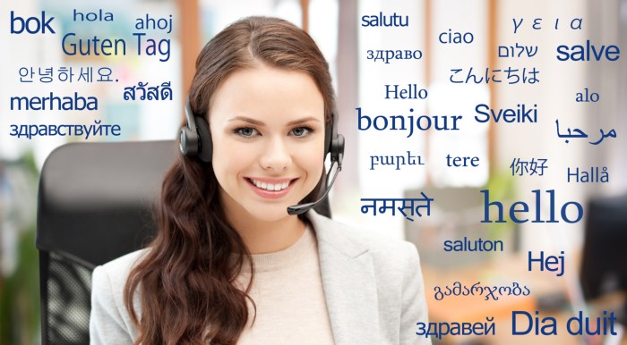 Translator chinese interpreter kannada translators ncr translations dubai cases Translator chinese interpreter kannada translators ncr translations dubai cases