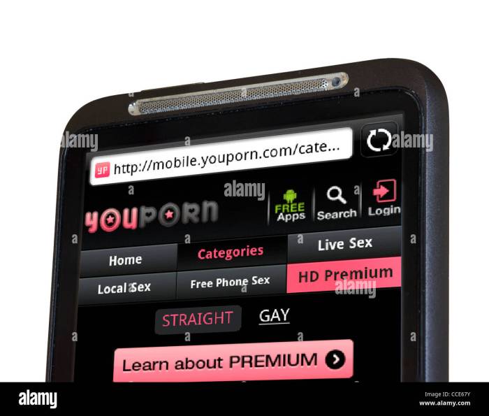 Pornography definition slideshare Pornography definition slideshare
